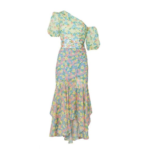 AMUR Jaylah Floral Asymmetrical One Sleeve Dress Size 6 MSRP: $598 - Picture 1 of 9
